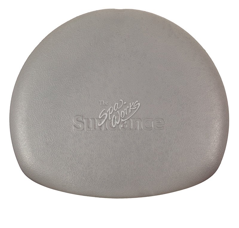 SUNDANCE SPA SKIMMER LID 680 BURLINGTON, DENALI, AND MODELS