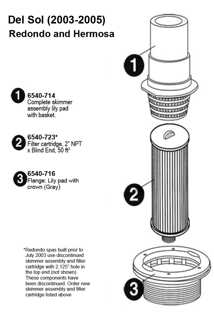 SUNDANCE SPA 2003+ FILTER SKIMMER ASSEMBLY COMPLETE | The Spa Works